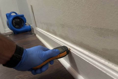 Moisture meter checking a baseboard for trapped water