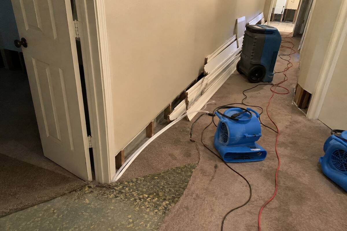 Air movers and a dehumidifier running during a structural dry-out